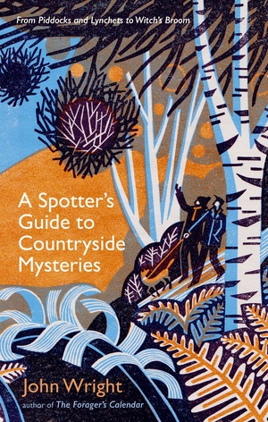 A Spotter's Guide to Countryside Mysteries: From Piddocks and Lynchets to Witch's Broom by John Wright