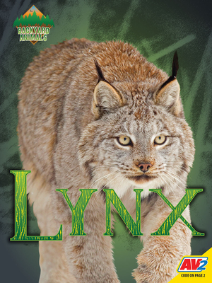 Lynx by Blaine Wiseman