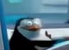 the_better_elwin's profile picture
