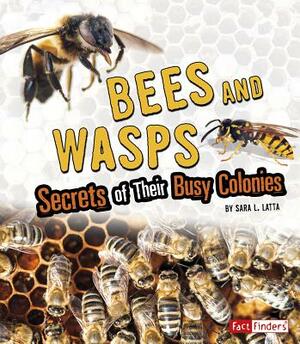 Bees and Wasps: Secrets of Their Busy Colonies by Sara L. Latta