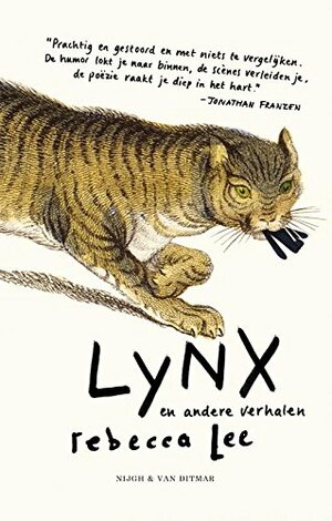 Lynx by Rebecca Lee
