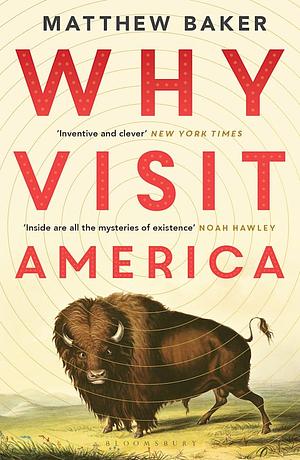 Why Visit America by Matthew Baker