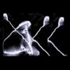akk666's profile picture