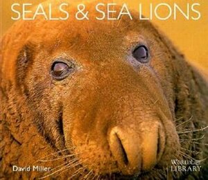 Seals and Sea Lions by David Miller