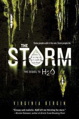 The Storm by Virginia Bergin