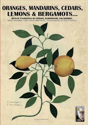 Oranges, mandarins, cedars, lemons & bergamots..: Artistic engravings of Ferrari, Aldrovrandi, Volckhamer... by Luca Stefano Cristini