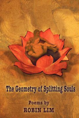 The Geometry of Splitting Souls by Robin Lim
