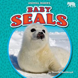 Baby Seals by Jennifer Boothroyd