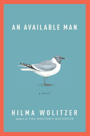 An Available Man by Hilma Wolitzer