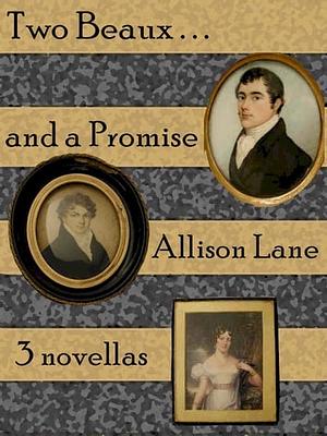 Two Beaux and a Promise by Allison Lane