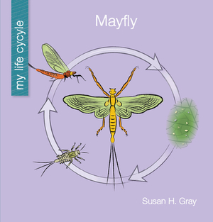 Mayfly by Susan H. Gray