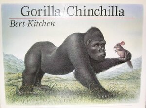 Gorilla/Chinchilla by Bert Kitchen