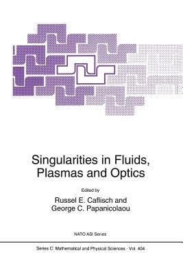 Singularities in Fluids, Plasmas and Optics by 