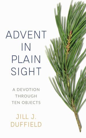 Advent in Plain Sight by Jill J Duffield