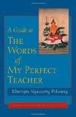 A Guide to the Words of My Perfect Teacher by Patrul Rinpoche, Ngawang Pelzang, Alak Zenkar, Padmakara Translation Group