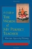 A Guide to the Words of My Perfect Teacher by Padmakara Translation Group, Ngawang Pelzang, Patrul Rinpoche, Alak Zenkar