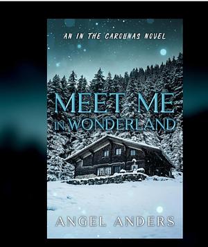 Meet Me In Wonderland  by Angel Anders