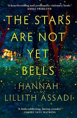 The Stars Are Not Yet Bells by Hannah Lillith Assadi