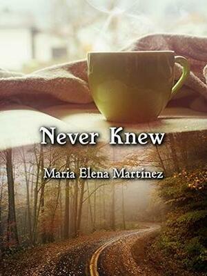 Never Knew (Lexi Series Book 1) by María Elena Martínez
