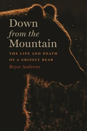 Down from the Mountain: The Life and Death of a Grizzly Bear by Bryce Andrews