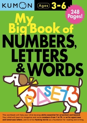 My Big Book of Numbers, Letters & Words by 