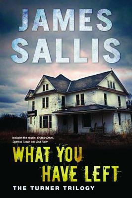 What You Have Left by James Sallis
