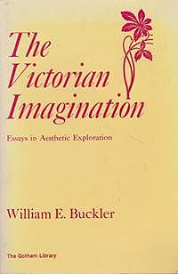 The Victorian Imagination: Essays In Aesthetic Exploration by William E. Buckler