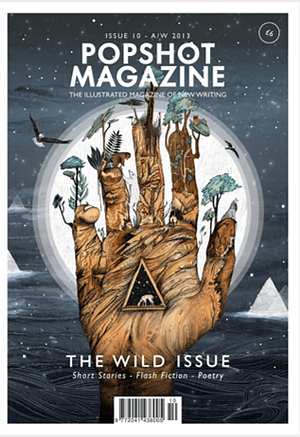 Popshot Magazine: The Wild Issue by Various