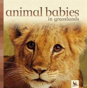 Animal Babies in Grasslands by Kingfisher Publications, Kingfisher Publications