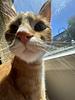 rudyyy's profile picture