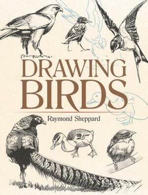 Drawing Birds by Raymond Sheppard