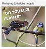 ina_reads2000's profile picture