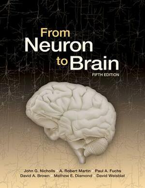 From Neuron to Brain by David A. Brown, A. Robert Martin, John G. Nicholls