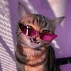 calikiessling's profile picture