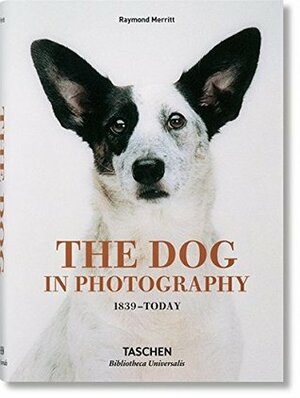 The Dog in Photography 1839 - Today by Miles Barth, Raymond Merritt