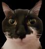 mwaste161's profile picture