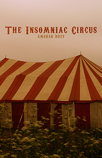 The Insomniac Circus by Amorak Huey