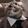 granola's profile picture