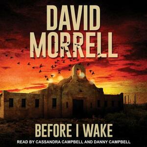 Before I Wake by David Morrell