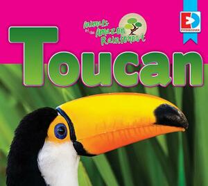 Animals of the Amazon Rainforest: Toucan by Katie Gillespie