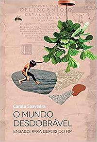 O mundo desdobrável: ensaios para depois do fim by Carola Saavedra