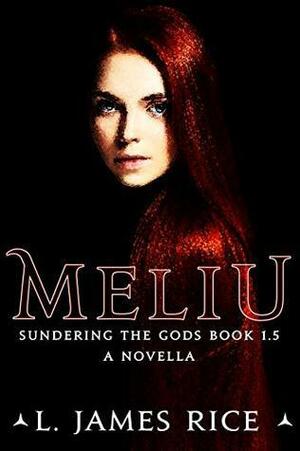 Meliu by L. James Rice