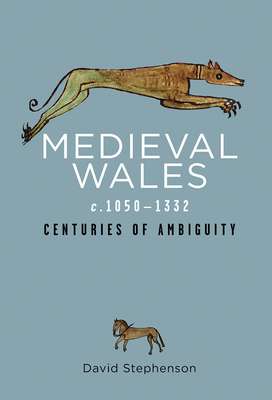 Medieval Wales C.1050-1332: Centuries of Ambiguity by David Stephenson