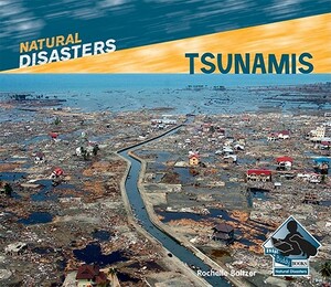 Tsunamis by Rochelle Baltzer