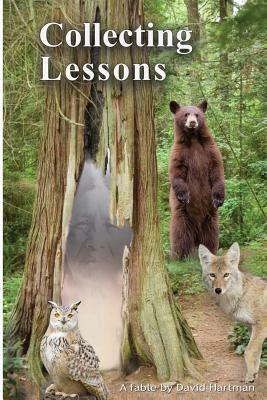 Collecting Lessons: A Fable by David Hartman