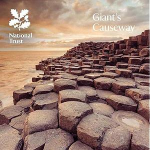 Giant's Causeway: National Trust Guidebook by Anna Groves