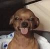 edenjay_'s profile picture