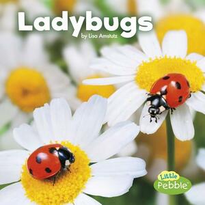 Ladybugs by Lisa J. Amstutz