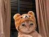 emujxox's profile picture