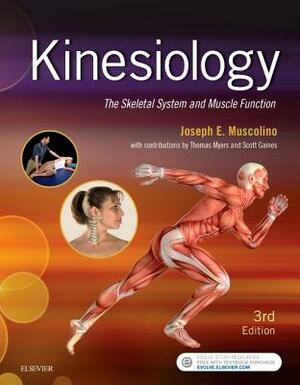 Kinesiology: The Skeletal System and Muscle Function by Joseph E. Muscolino